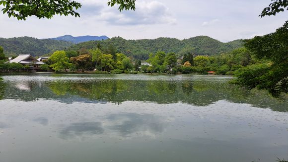 Osawa pond kyoto daikakuji temple