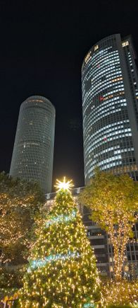 Christmas tree with the JR central towers behind it