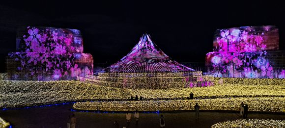 Mt Fuji with the sakura display from the 2nd floor observation deck