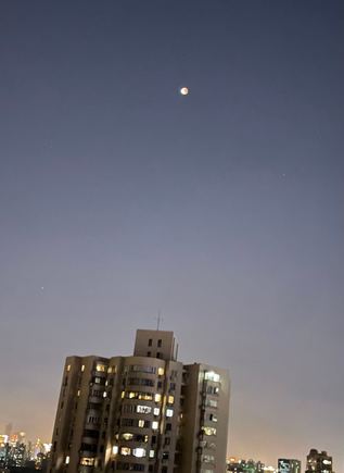 Contrast against the twilight 