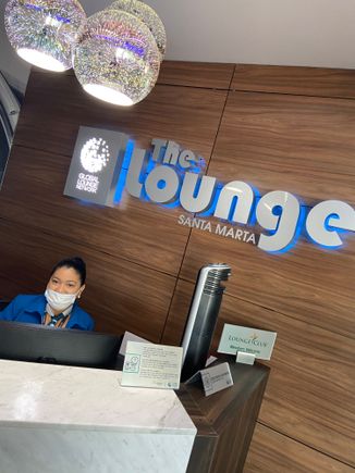 Friendly lounge dragon 