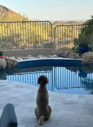 Earlier this evening, as Barbara Walters would say, Poppy was taking a little time to enjoy the view!