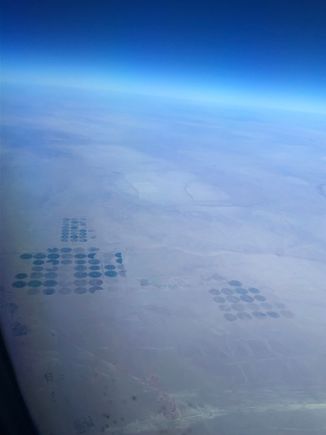 Crop circles 