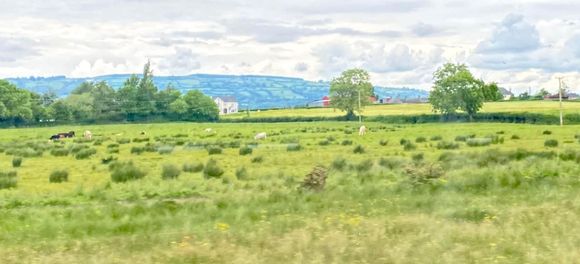 Absolutely gorgeous countryside 