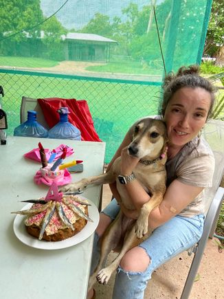 Dill had her birthday yesterday so will be very happy with extra gifts (less happy about mumslave making her have a photo before eating the cake!!)