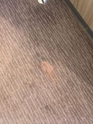 Stains  on carpet near wardrobe 
