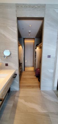 Master closet (and toilet)
