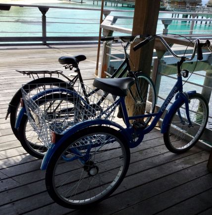 My blue tricycle vs. the regular bikes that are black or pink.  As mentioned earlier, I am an in adept senior citizen.  With balance issues and severe arthritis in my back and hips, the bike is very helpful to get around the resort, and I am very appreciative that the hotel came up with the ideal option for me.

As also mentioned in my initial post, I had already decided to let it go.  Thank you for all your kind comments.