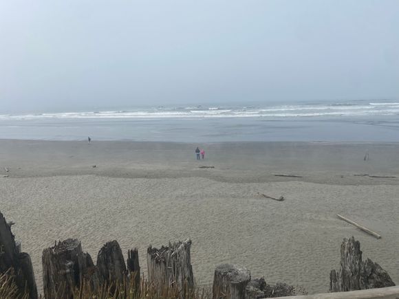 Kalaloch beach