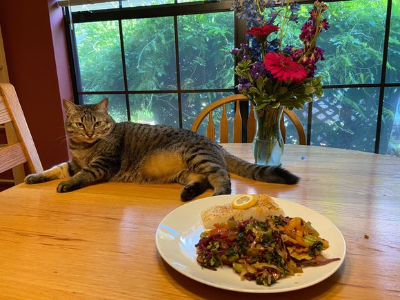 Baked halibut with lemon (Gabriel had hers without the lemon).  Stir fry vegetables. Sauce was low sodium Tamari, fresh garlic, fresh ginger, and some deli mustard.