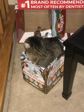 Fred has an addiction to alcohol boxes.
