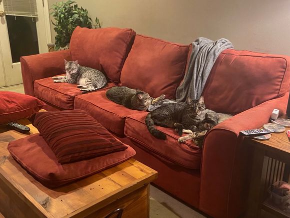 It’s our couch lady.  Keep moving.