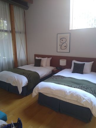 Bedroom view. No combining beds here!