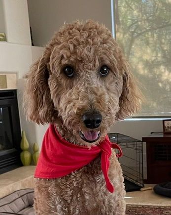Poppy wonders why you didn’t quote the first sentence of corky’s post! 