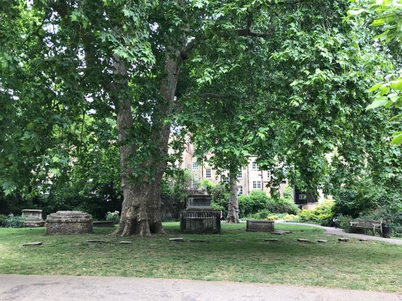And stroll among the ruins of the dead