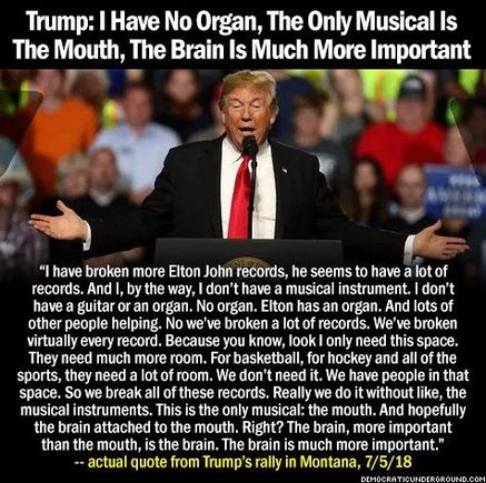 Elton John plays piano , you silly!
