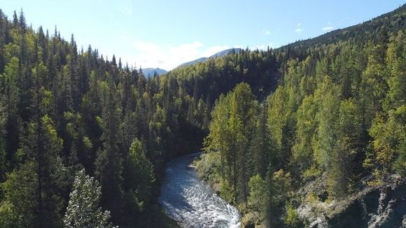 Silvertip Creek (i think) near Hope