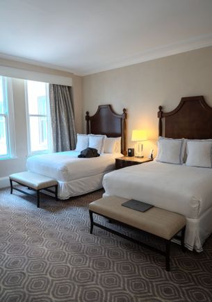 Superior room 2 queens