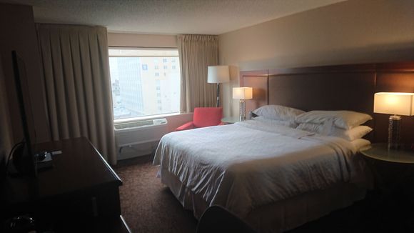 The suite: the bedroom.