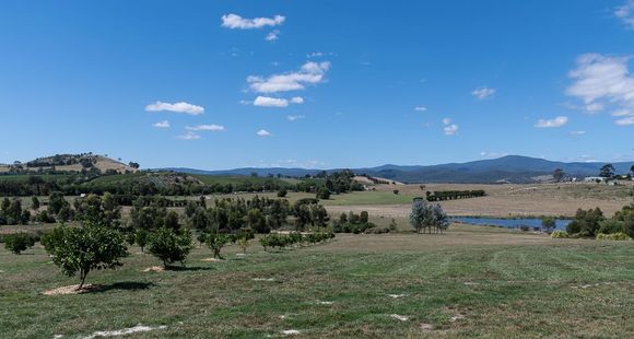 The Yarra valley wine region.


