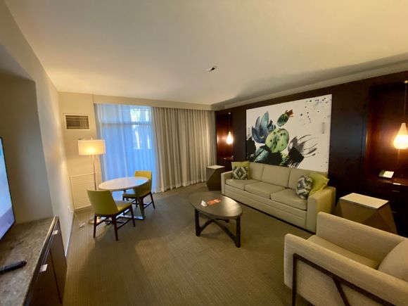 Murphy bed comes down from the couch