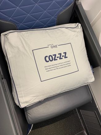 Pillow and duvet come in this bag