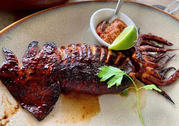 Grilled squid 