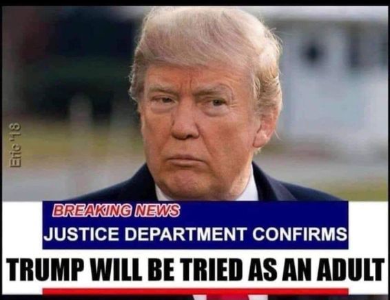 🤣🤣
