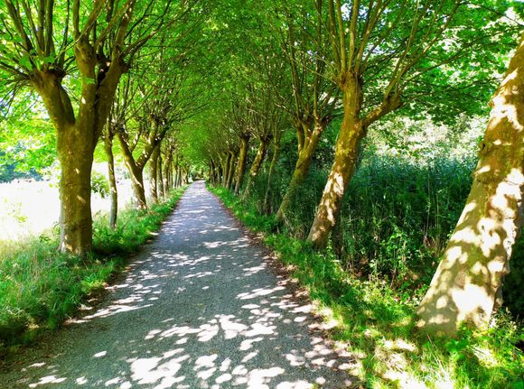 A bit further on, the walking route led up to 