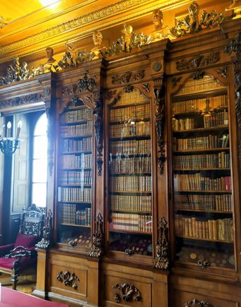 The library in the museum of entrepreneur and collector Pasquale Revoltella