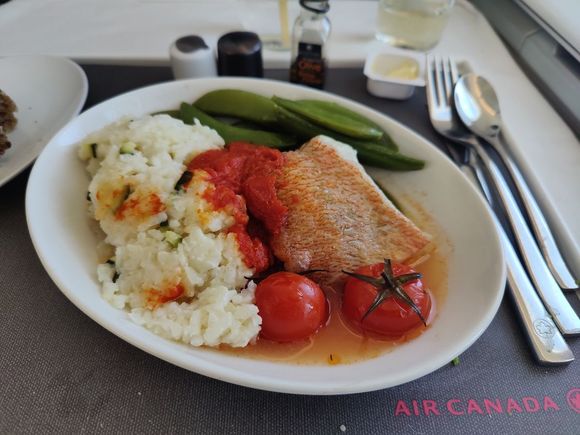 Red snapper filet