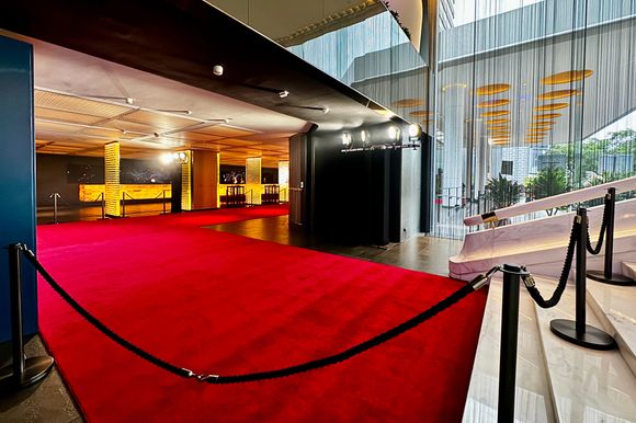 Red carpet to cascade stair 