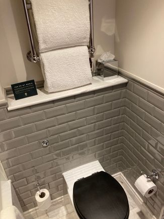 Toilet and with heated towel rack