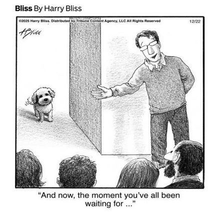 Not my dog, but it very well could be! :D
