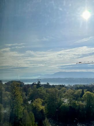 View from the room