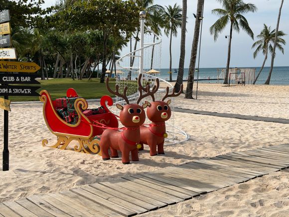 Beachfront 