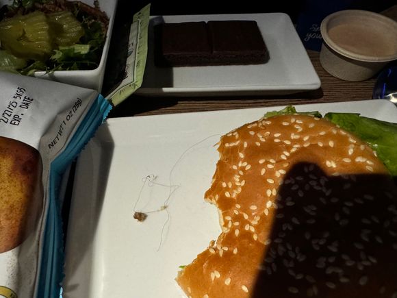 Unexpected accompaniment to my burger!