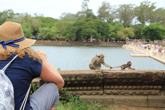 Monkey And Mom