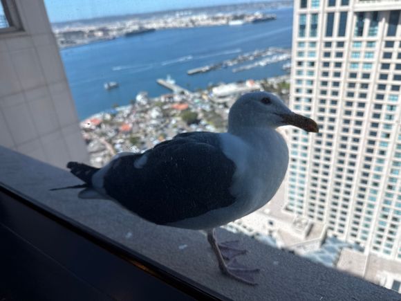 Grand Club visitor 