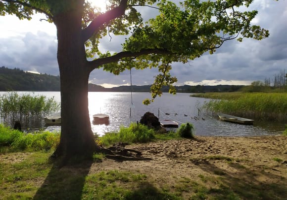 This is the lakeland near the Art Museum of Silkeborg 