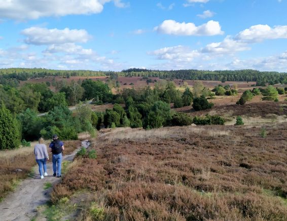 One of the wonderful trails on Luneburg Heath 