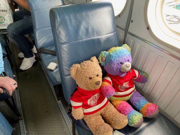 Robin and Cheddar ready for the flight!