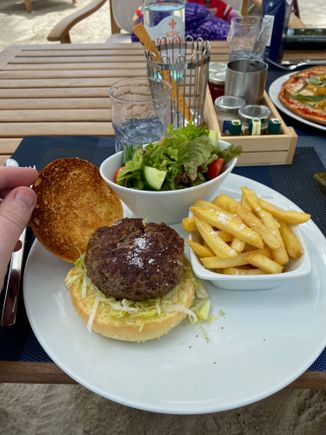 Burger and Fries 