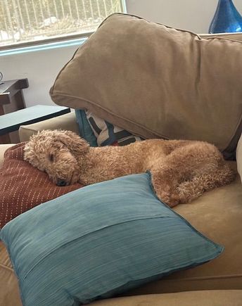 Poppy is finding the closing ceremonies quite relaxing. 