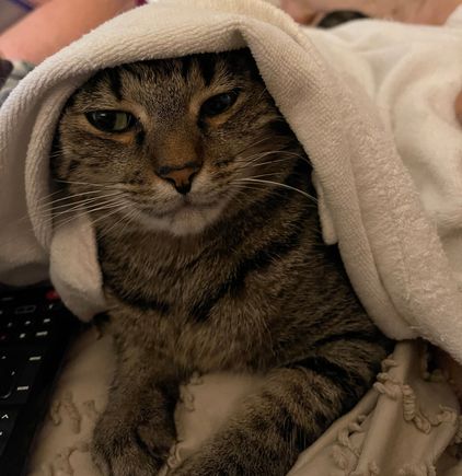 If I can’t see mama, mama can’t see me. - Fred