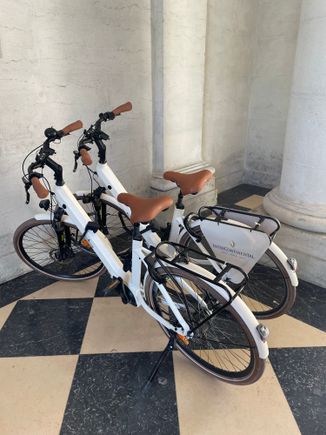 Electrical bicycles for rent