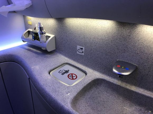 Lavatory with Kleenex instead of paper towels