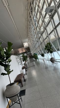 JFK Delta One Check-In Entry 