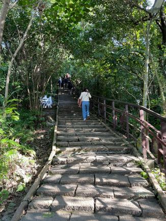 Steps all the way to the top