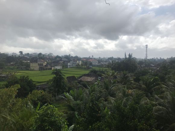 View from 7th Floor